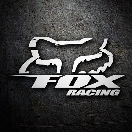 Picture for manufacturer FOXRACING