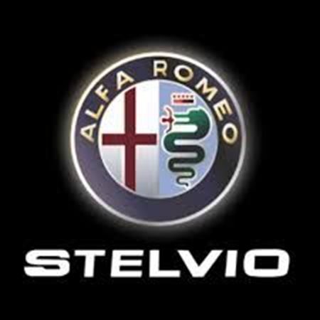 Picture for category STELVIO