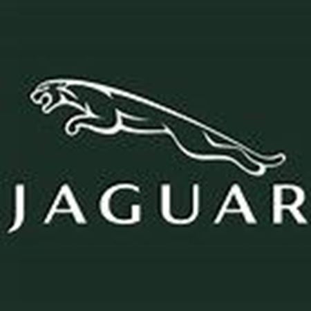 Снимка за категория JAGUAR